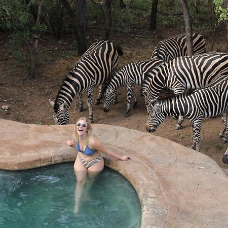 Kruger Park Hostel مارلوث بارك المظهر الخارجي الصورة