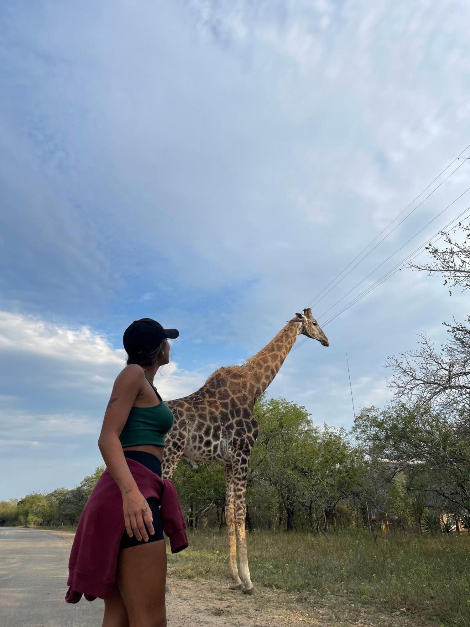 Kruger Park Hostel مارلوث بارك المظهر الخارجي الصورة