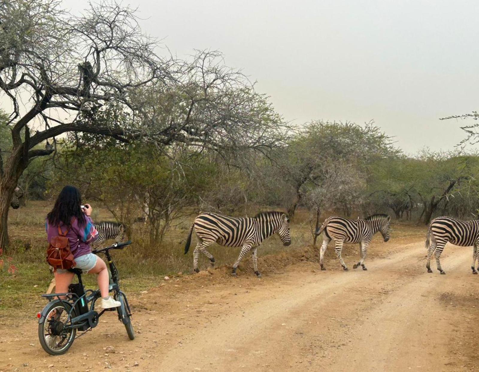 Kruger Park Hostel مارلوث بارك المظهر الخارجي الصورة